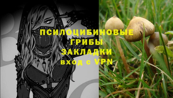 гашик Хадыженск